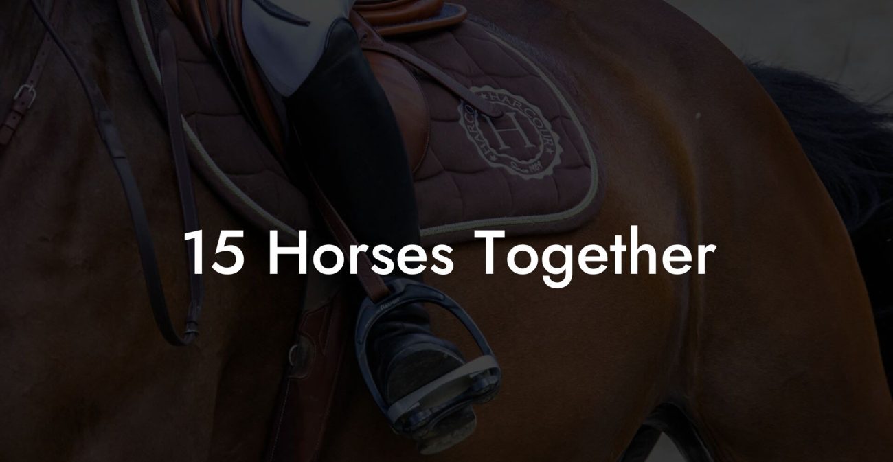 15 Horses Together