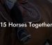 15 Horses Together