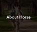 About Horse