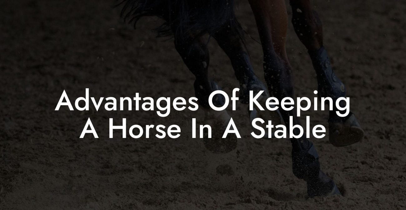 Advantages Of Keeping A Horse In A Stable