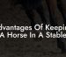 Advantages Of Keeping A Horse In A Stable