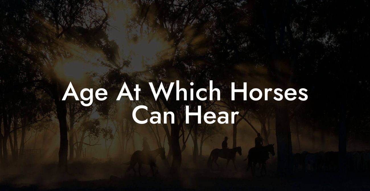 Age At Which Horses Can Hear