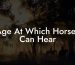Age At Which Horses Can Hear