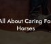 All About Caring For Horses