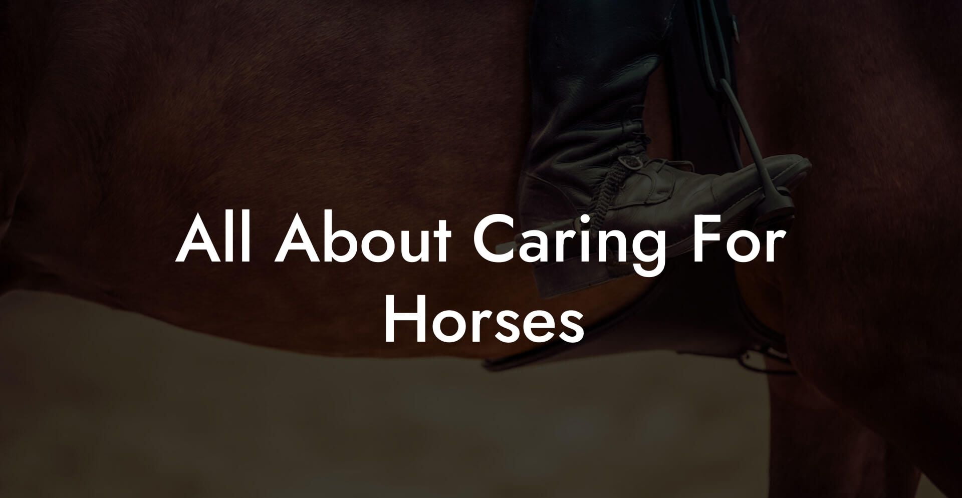 All About Caring For Horses