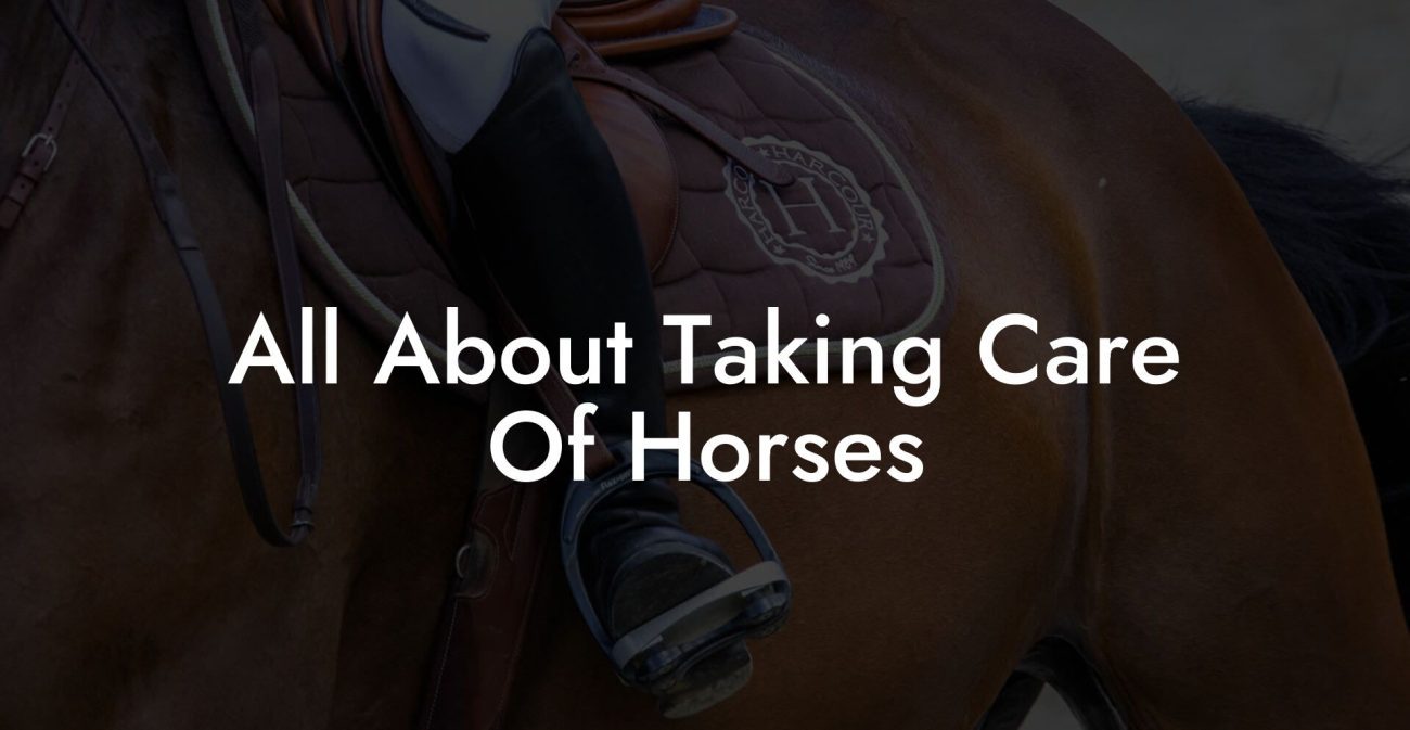 All About Taking Care Of Horses