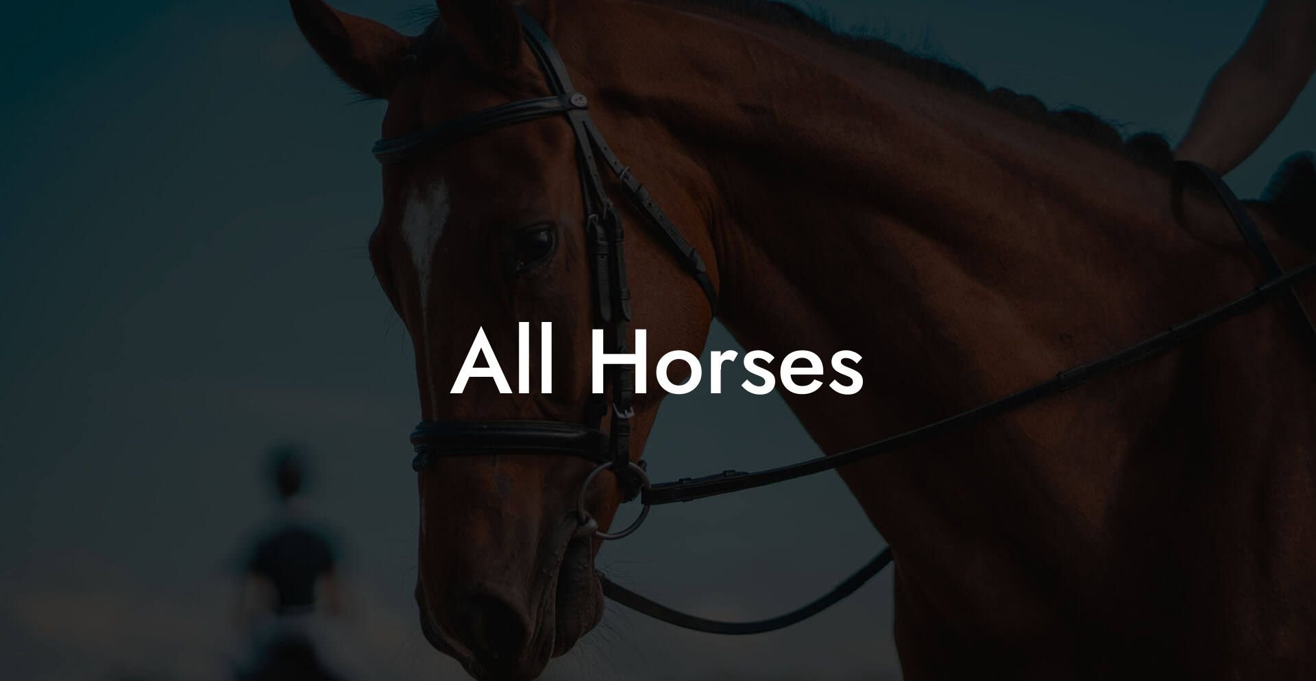 All Horses