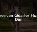 American Quarter Horse Diet
