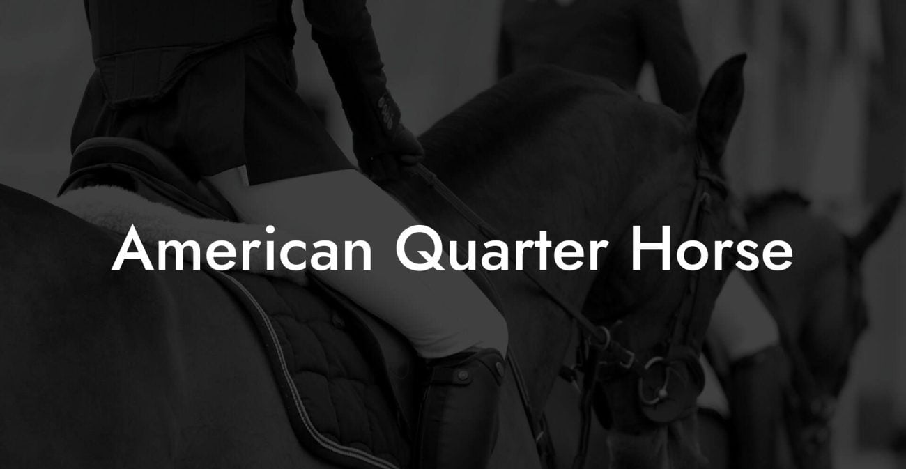 American Quarter Horse