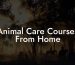Animal Care Courses From Home