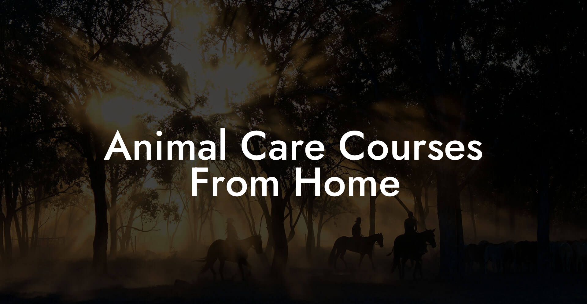 Animal Care Courses From Home