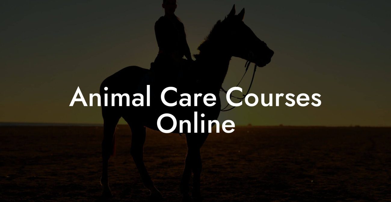 Animal Care Courses Online