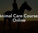 Animal Care Courses Online