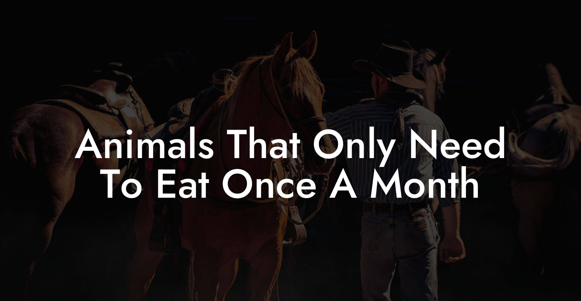Animals That Only Need To Eat Once A Month