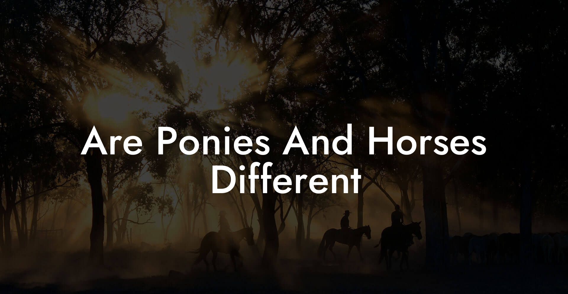 Are Ponies And Horses Different