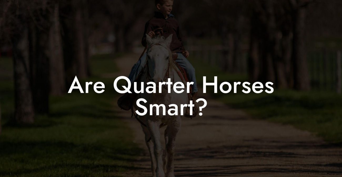 Are Quarter Horses Smart?