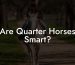 Are Quarter Horses Smart?