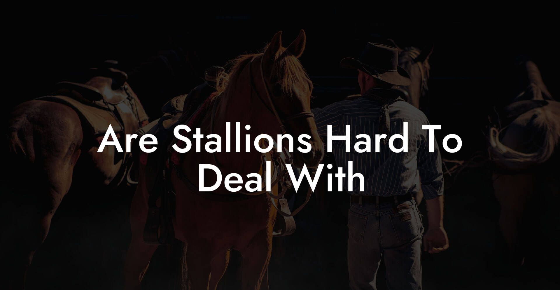 Are Stallions Hard To Deal With