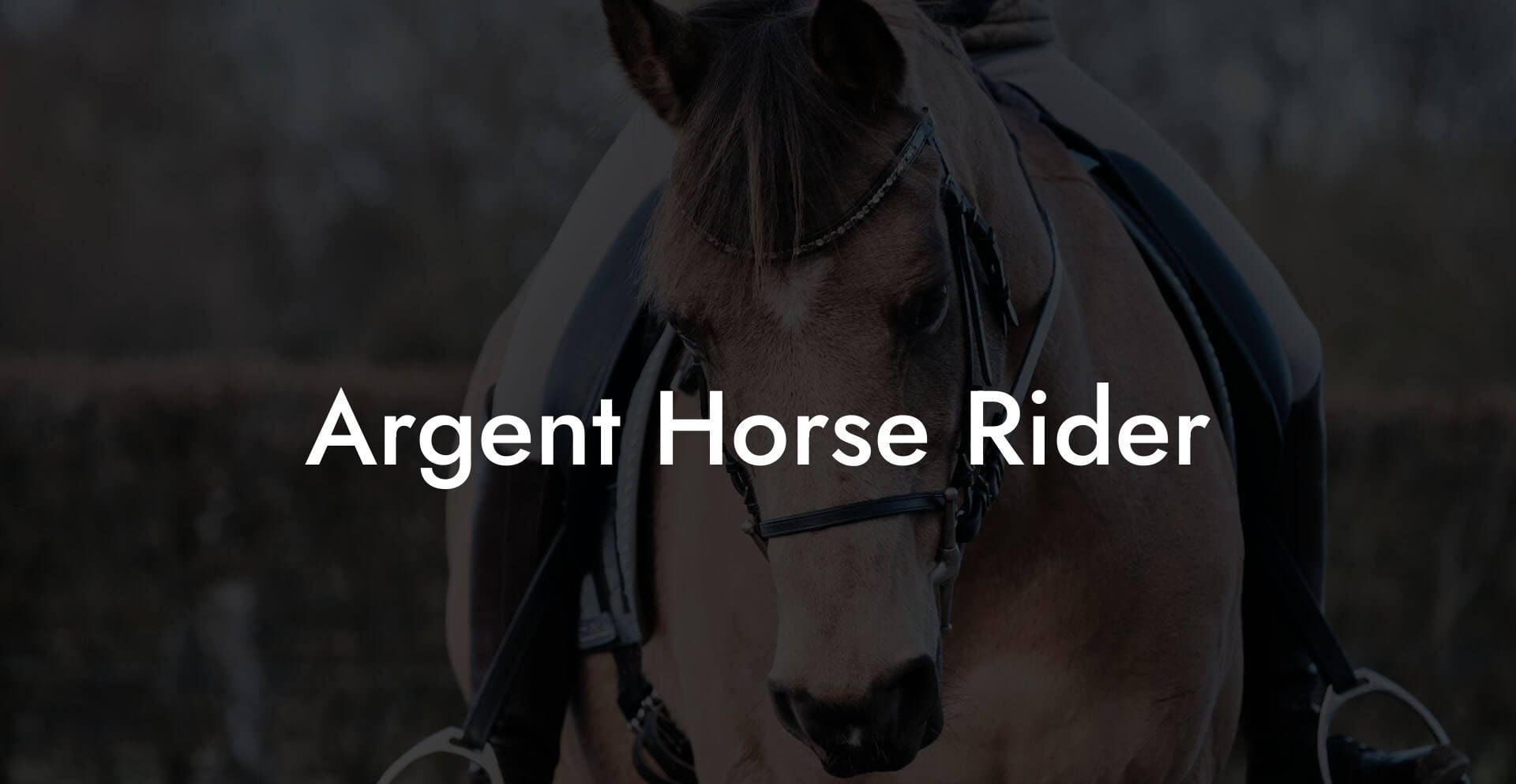 Argent Horse Rider