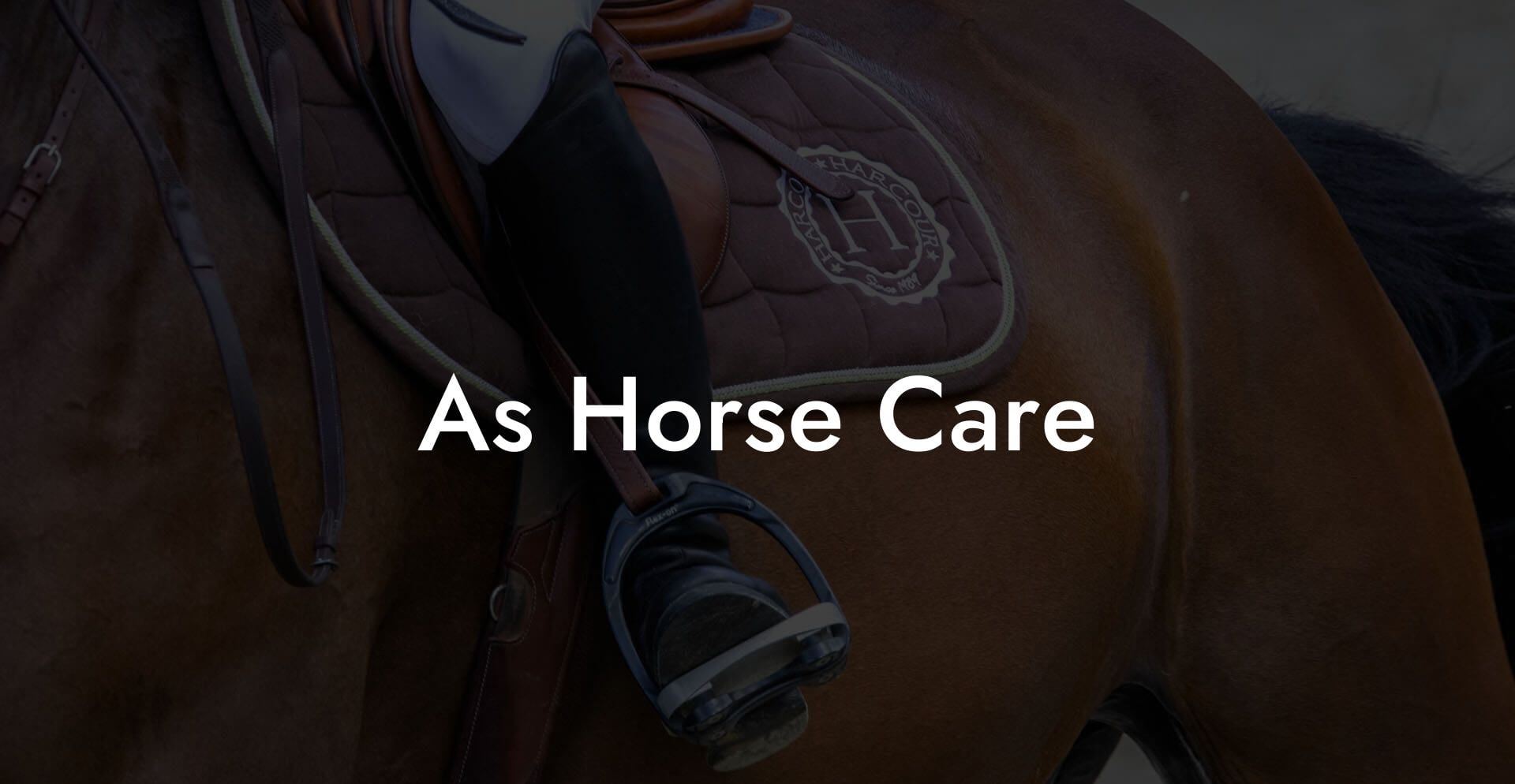As Horse Care