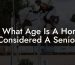 At What Age Is A Horse Considered A Senior