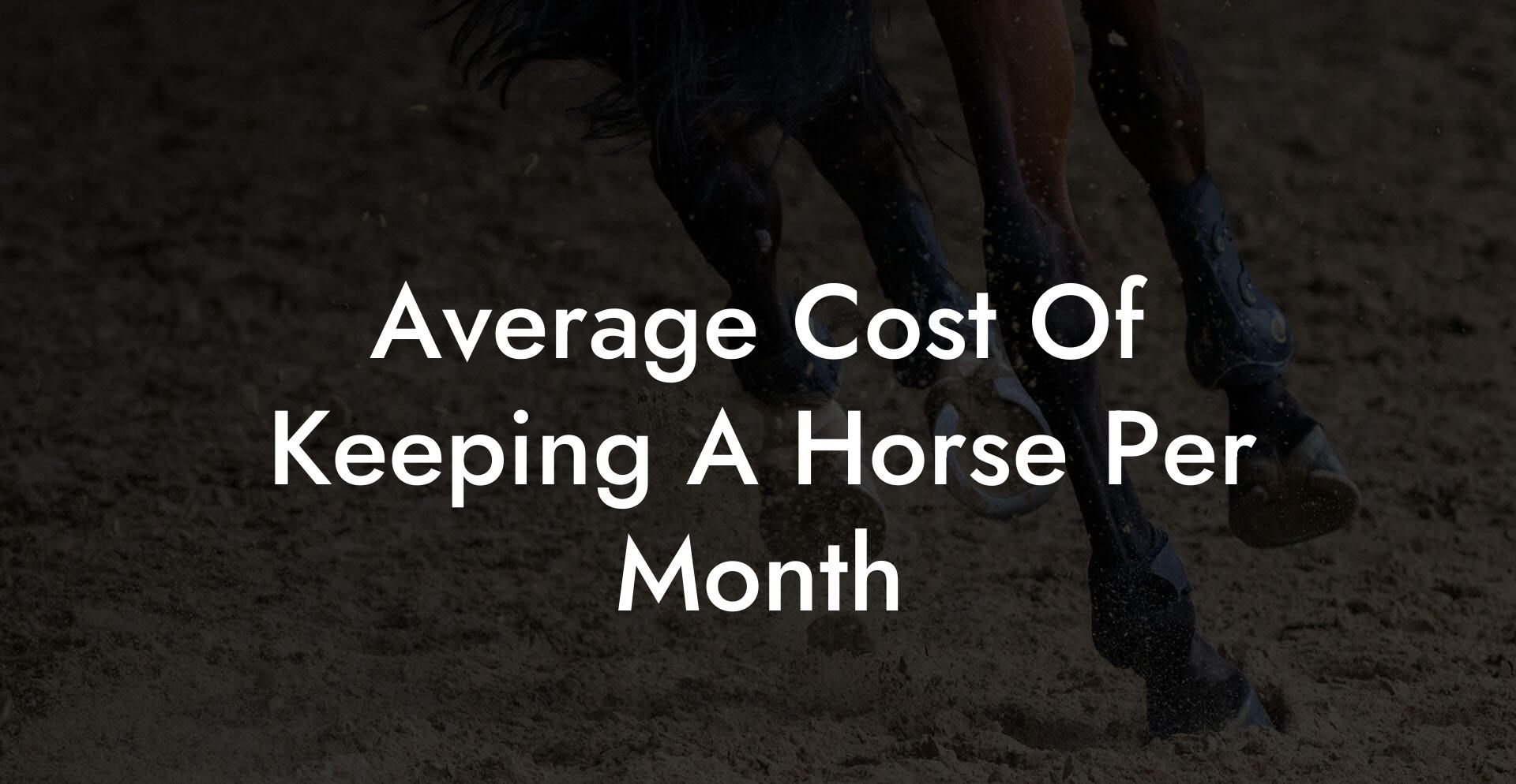 Average Cost Of Keeping A Horse Per Month
