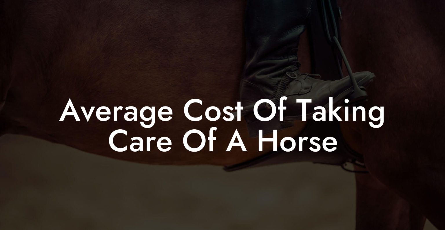 Average Cost Of Taking Care Of A Horse How To Own a Horse