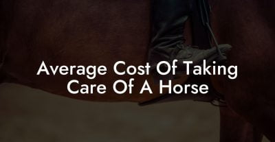 Average Cost Of Taking Care Of A Horse Average Cost Of Taking Care Of A Horse