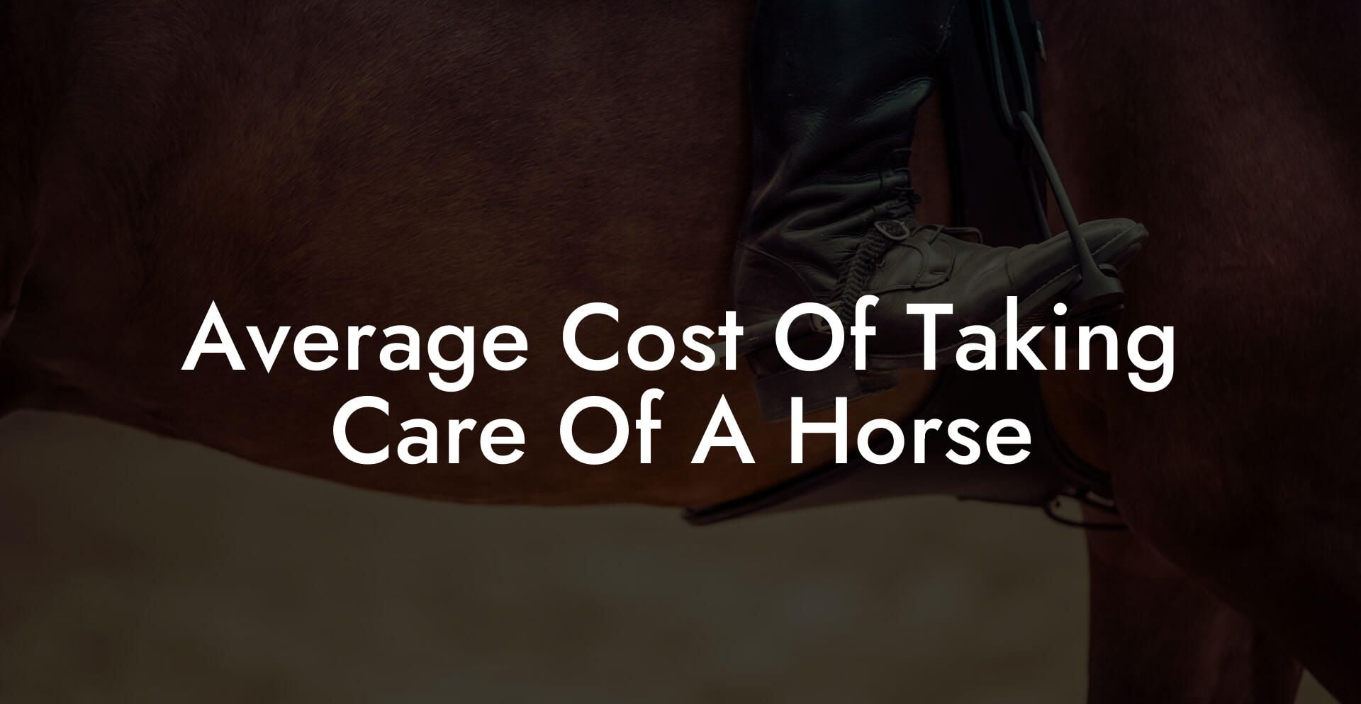 Average Cost Of Taking Care Of A Horse