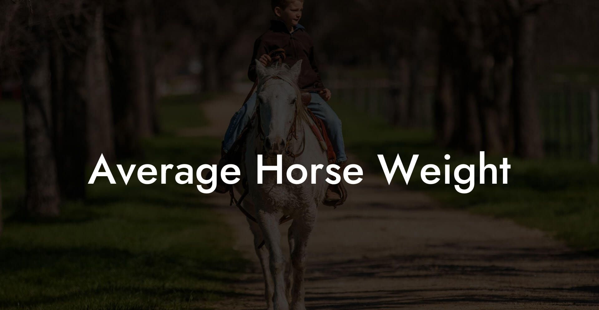 Average Horse Weight