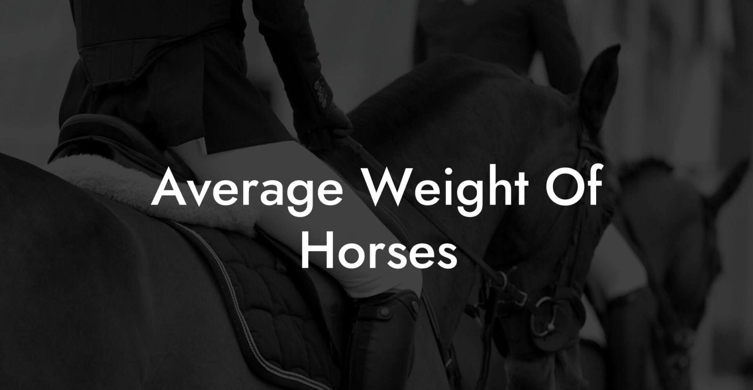 Average Weight Of Horses How To Own a Horse