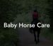 Baby Horse Care