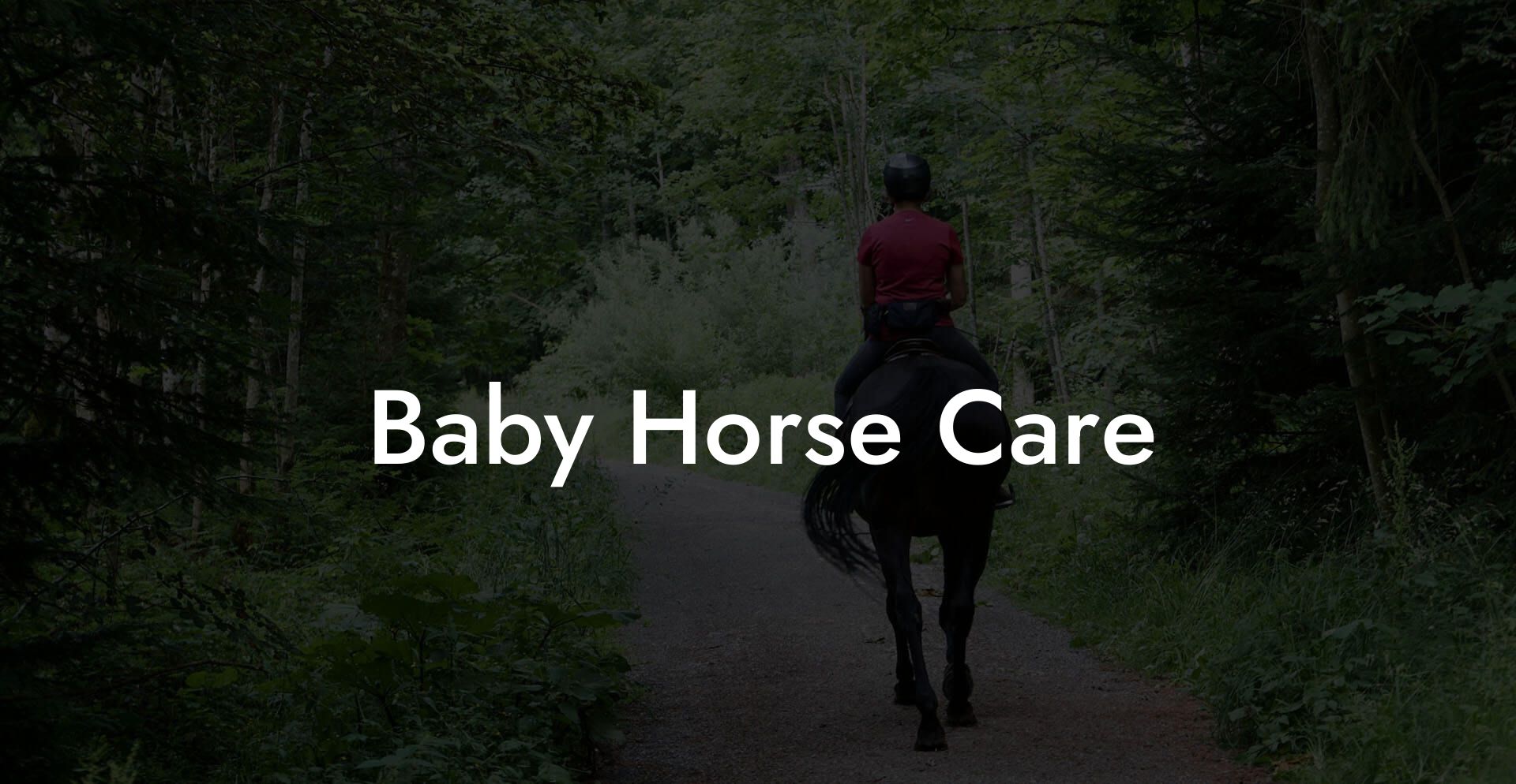 Baby Horse Care