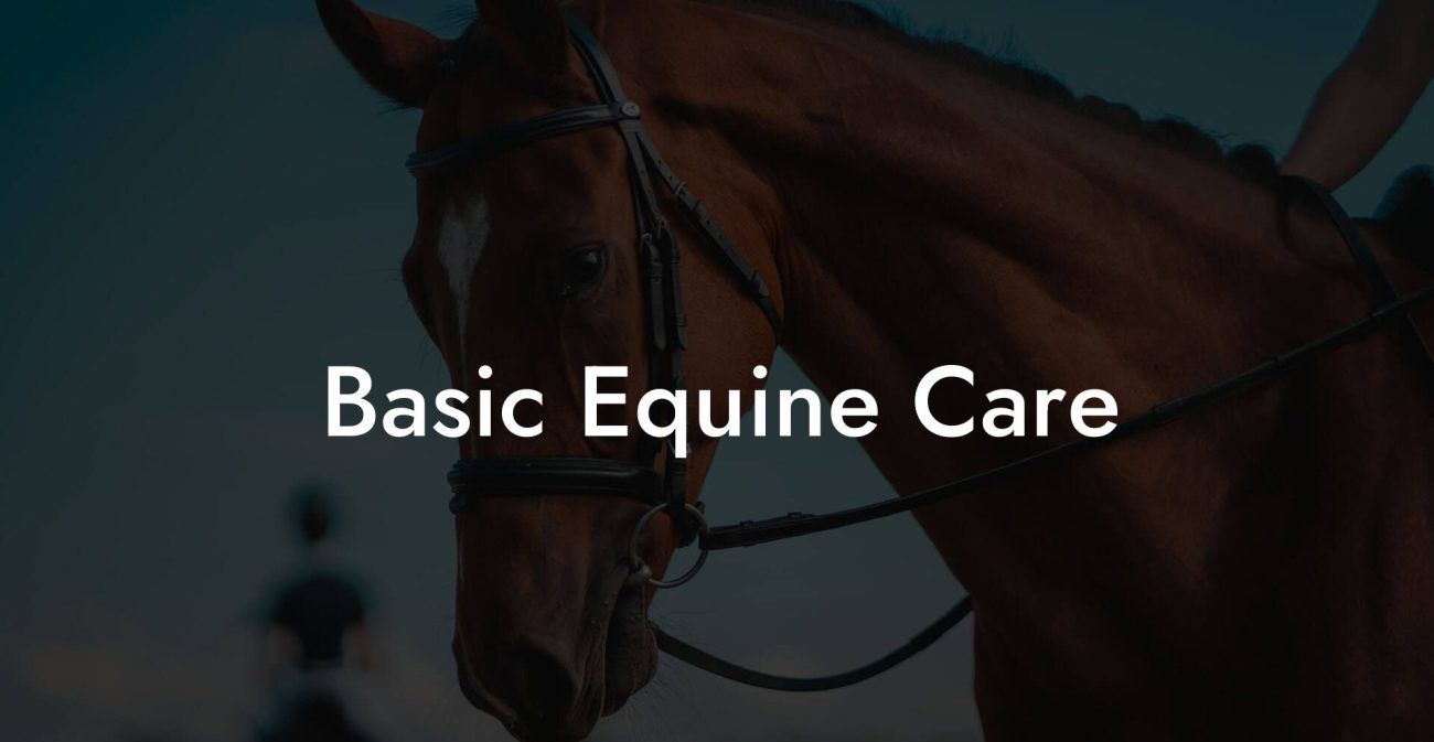 Basic Equine Care