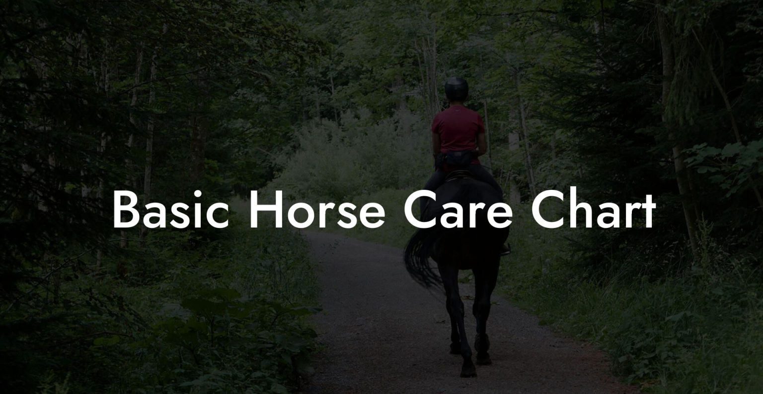 Basic Horse Care Chart How To Own a Horse