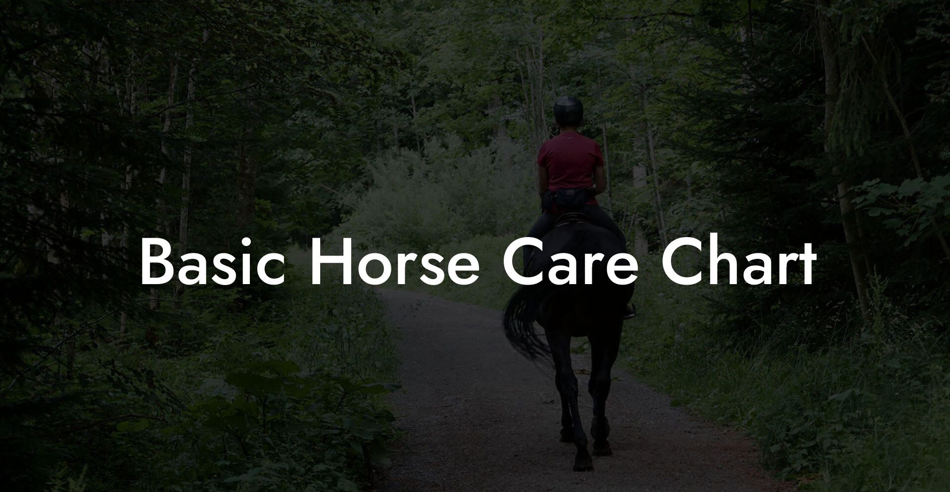 Basic Horse Care Chart