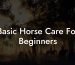 Basic Horse Care For Beginners