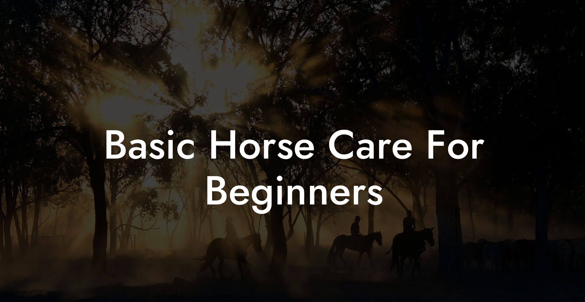 Basic Horse Care For Beginners