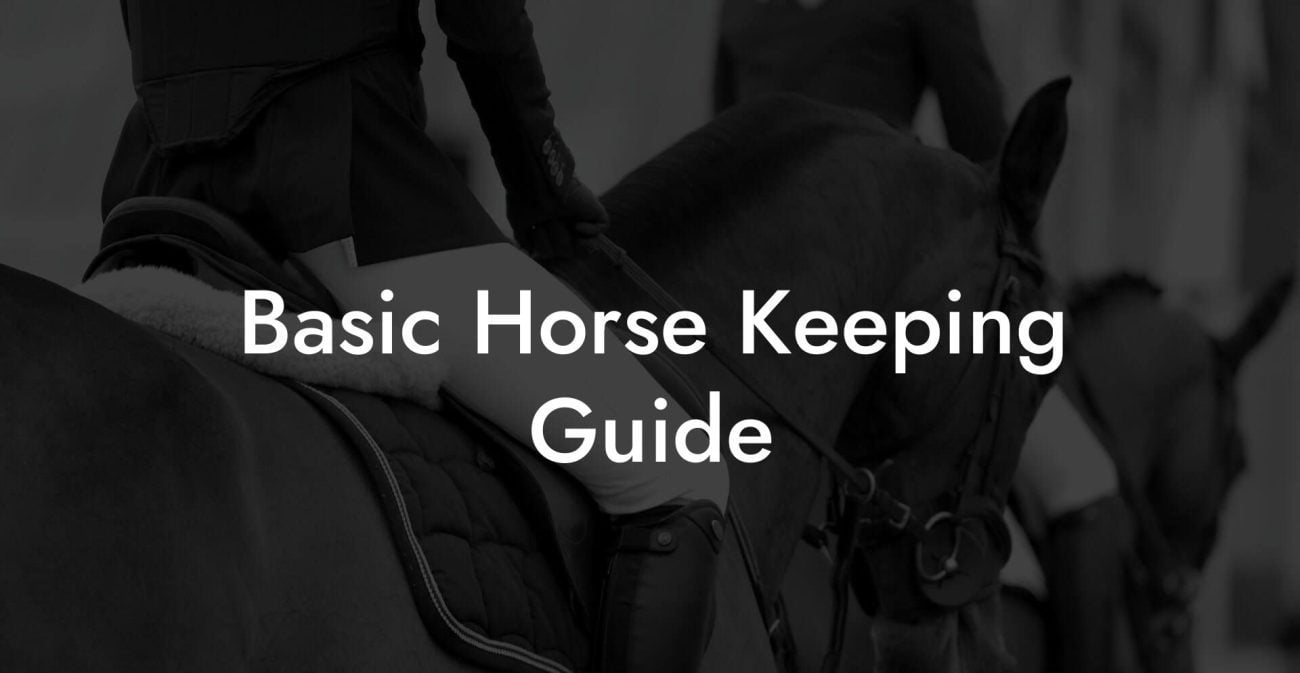 Basic Horse Keeping Guide