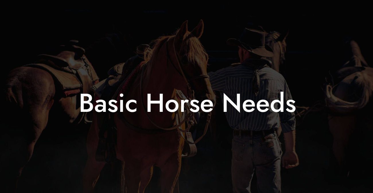 Basic Horse Needs
