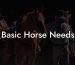Basic Horse Needs