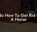 Bdo How To Get Rid Of A Horse