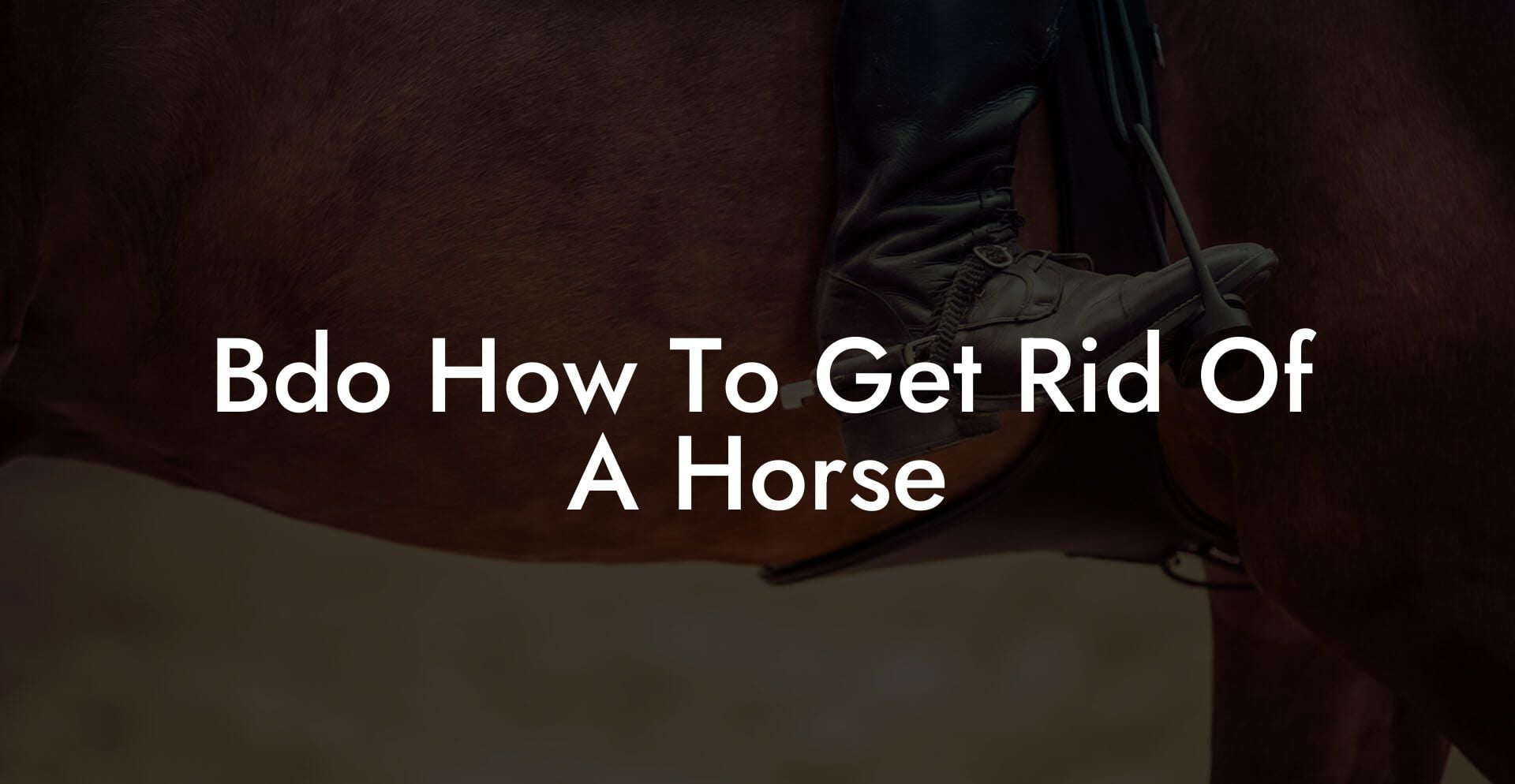 Bdo How To Get Rid Of A Horse