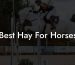 Best Hay For Horses