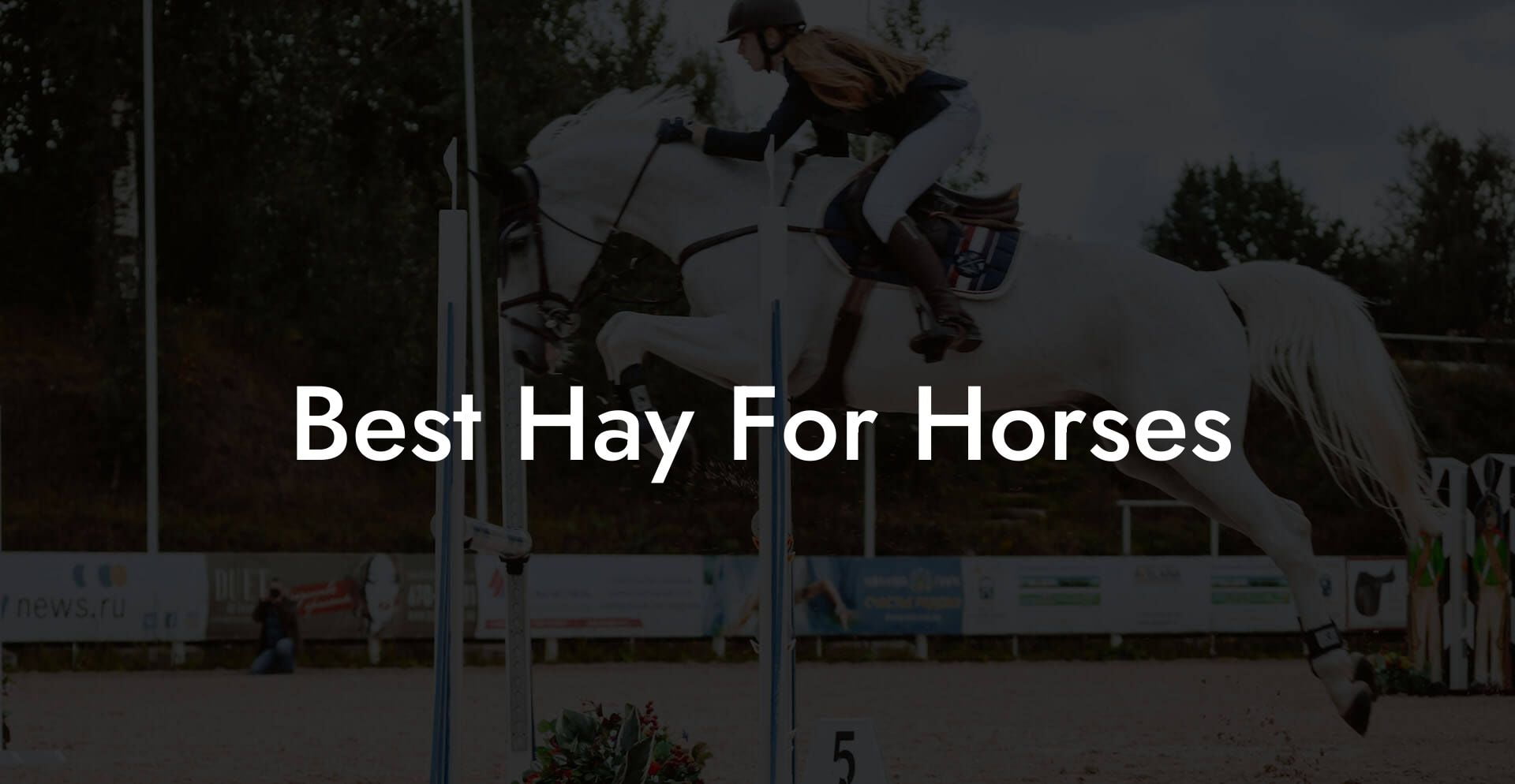 Best Hay For Horses - How To Own a Horse