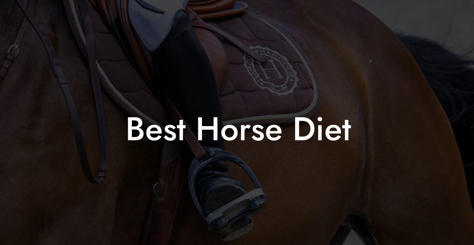 Best Horse Diet How To Own a Horse