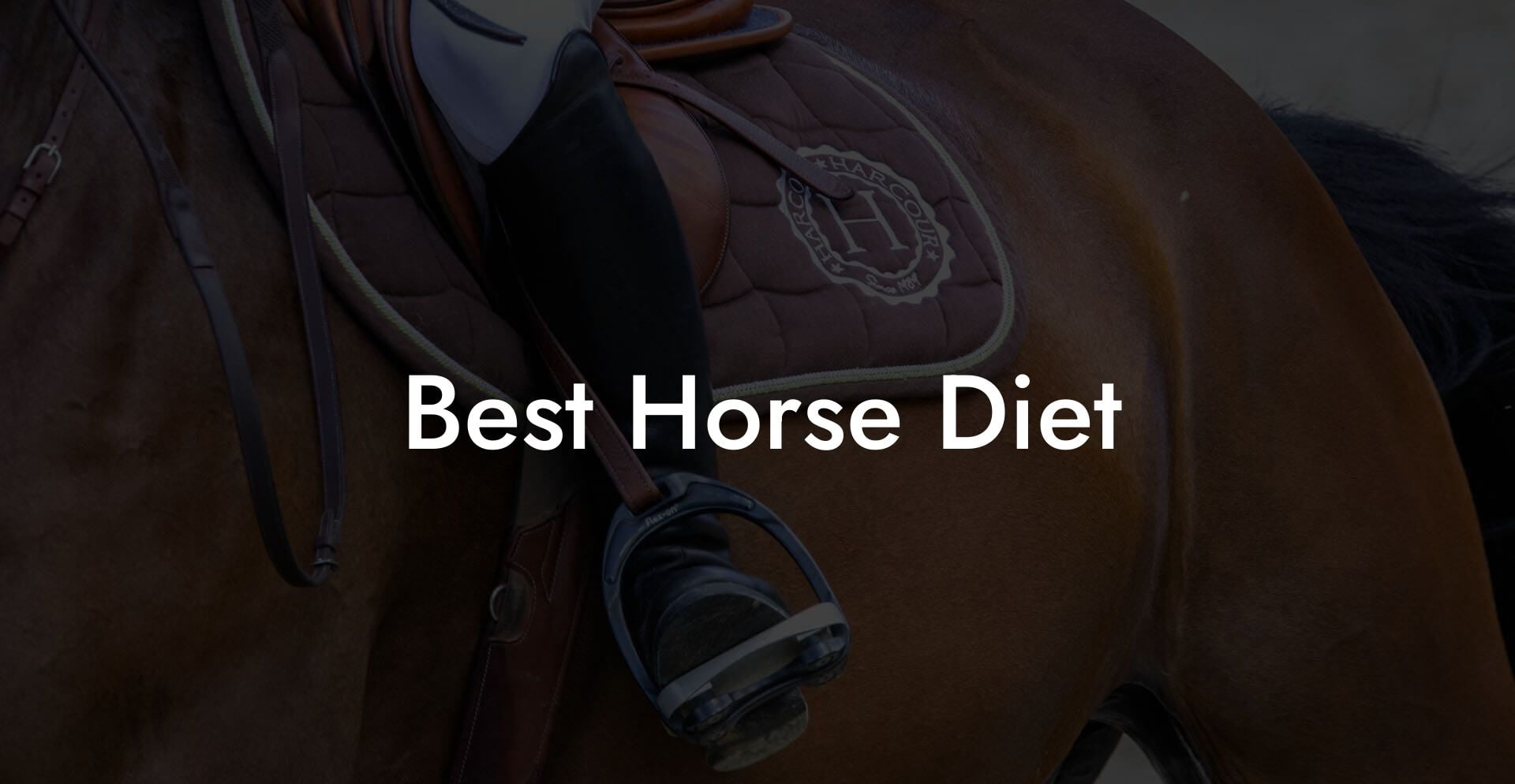 Best Horse Diet