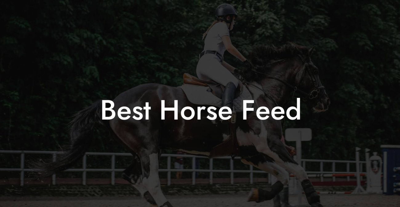Best Horse Feed