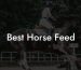 Best Horse Feed