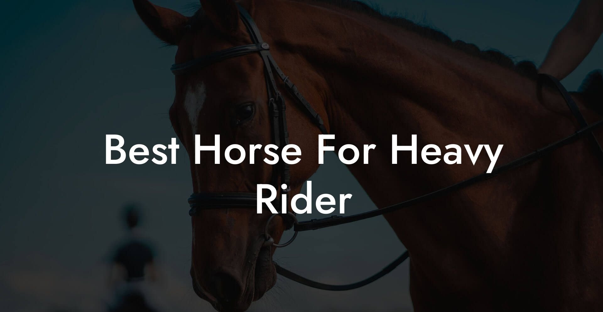 Best Horse For Heavy Rider